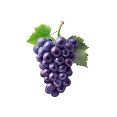 Fototapeta premium Bunch of Grapes Ripe and Ready: The Allure of Fresh Grapes