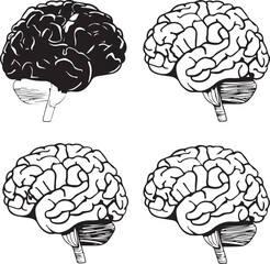 Human brain silhouette vector on white background 