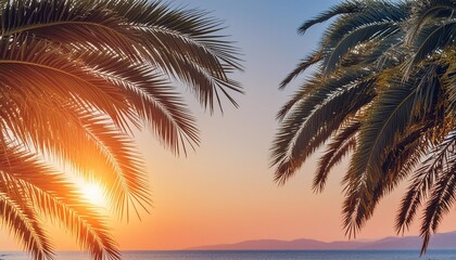 palm tree leaves against gradient sunset sky tropical nature background