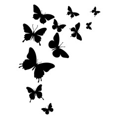 Flying black silhouettes of butterflies. Vector design element