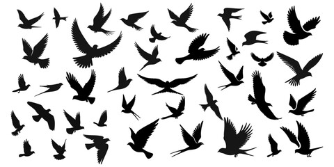 Set of silhouettes of flying birds in a flat style on a white background. Vector illustration