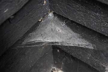 Multiple spiders web in a corner by black walls.