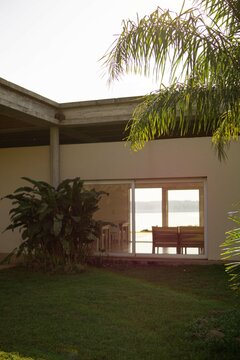 palmeras