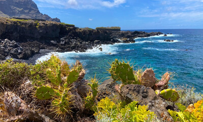 Blue Atlantic ocean water, cliffs, waves and opuntia cactus plants near Buenavista del Norte,Tenerife,
Canary Islands,Spain.
