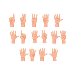 Obraz premium counting hands isolated on white