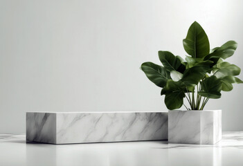 'leaves podium white plant background marble poduim isolated black dark hockey puck object metal...