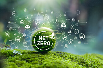 Net Zero concept, net zero greenhouse gas emissions, is a long-term climate neutral and environmentally sustainable strategic goal of the world. Green ball on moss in green forest with Net Zero icon