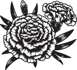 Carnation Illustration