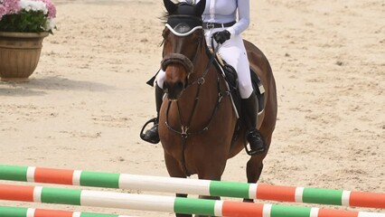 A woman elegantly riding on a brown horse in a professional equestrian sport setting