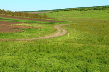 Naklejka premium A dirt road through a field