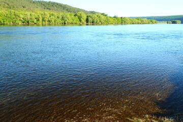 A body of water with trees in the background