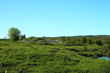 A grassy field with a fence and trees in the background