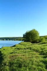 A grassy area with trees and a body of water in the background