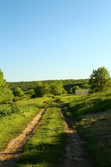 A dirt road with grass and trees