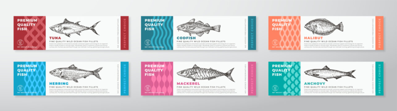 Fish Seafood Vector Packaging Label Design Collection Modern Typography and Hand Drawn Tuna, Herring, Anchovy and Mackerel Product Background Layouts Set