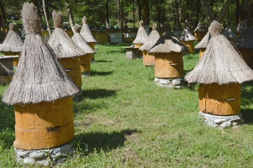 Round wooden bee hives with thatched roofs. Apiary.
