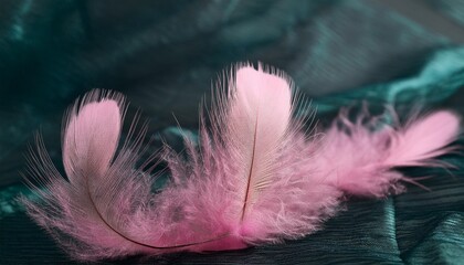 abstract pink feather fluffy background