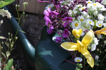 a watering can is filled with colorful flowers in the sun