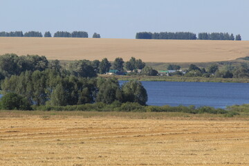 lake in the forest