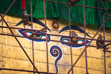 buddha eyes at buddhist style stupa