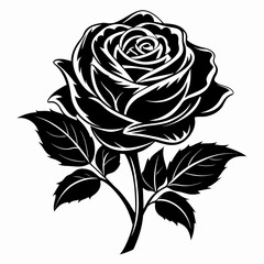Black Rose flower silhouette vector illustration isolated on a white background.