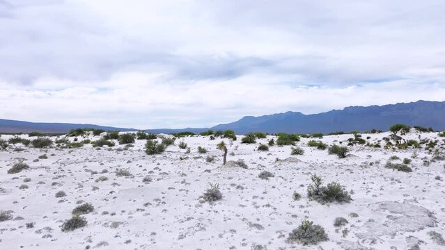 White striated desert gypsum dunes in Coahuila Mexico genuine and rare condition in its style unusual in the world Traking movemente camera drone