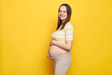 Beautiful brown haired Caucasian pregnant woman with bare belly wearing casual top isolated over...