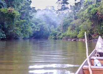 A boat tour in Bako National Park, Malaysian Borneo. A ride through the mangrove jungle. Front of...