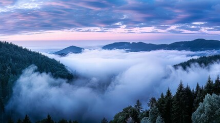mystical rising fog in black forest germany panoramic landscape