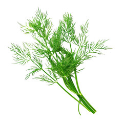 Dill on white background,png