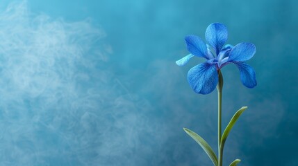   A blue flower, focused closely, against a solid blue background Behind it, a softly blurred sky