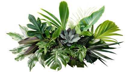 Assortment of tropical leaves in a lush bouquet, isolated on transparent background