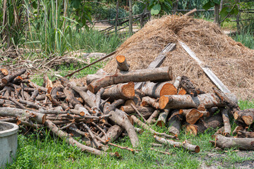 log with a pile of chopped wood use in fire place at home stored on forest woods green biomass...