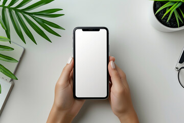 person holding a mobile phone