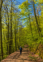 Caminando por el paraiso verde, Urkiola
