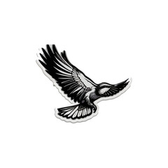 Blue jay bird illustration watercolor look, isolated, white background