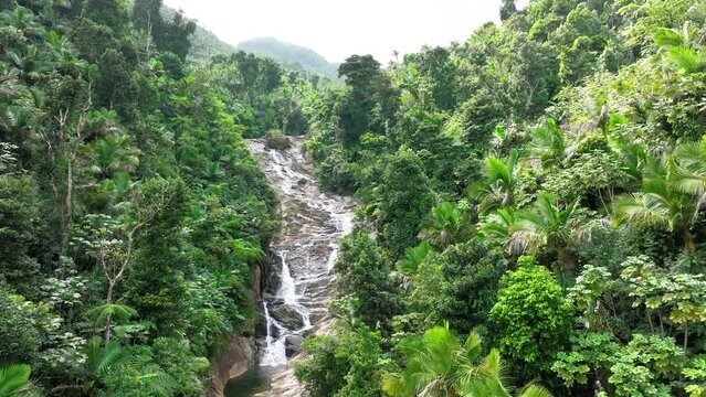 Aerial push-in footage passing over the lush foliage and cascades of the Rio Cubuy, in the El Yunque rainforest in Puerto Rico.