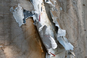 peeling paint on a wall