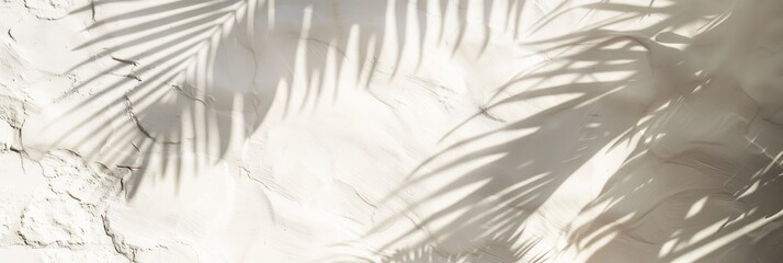 A palm tree casts a shadow on a wall