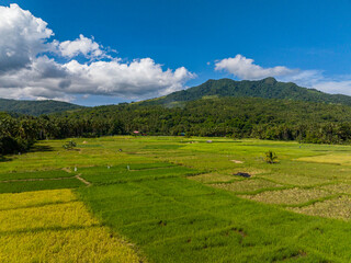 Farmland with rice fields in mountainside of Camiguin Island. Philippines.