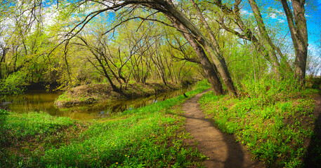 Obraz premium Forest Riverside Spring Walking Trails along the Big Sioux River in Sioux Falls, Minnehaha County, South Dakota, with bare tree branches sprouting green