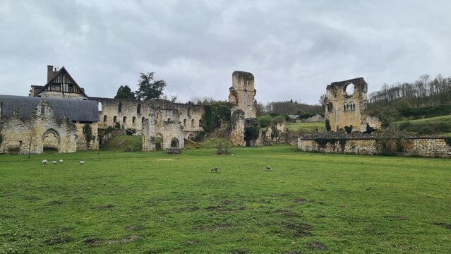 Ruines de l'abbaye de Mortemer