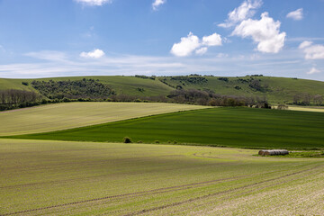 A rural South Downs view on a sunny spring day