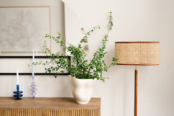 Green plant in modern ceramic white pot on wooden dresser in Scandinavian living room or bedroom...