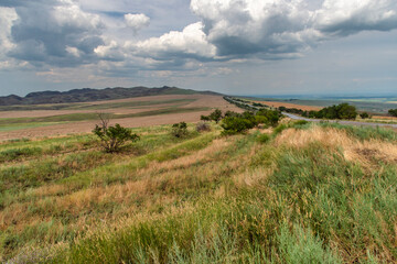 Obraz premium landscape with grass and sky