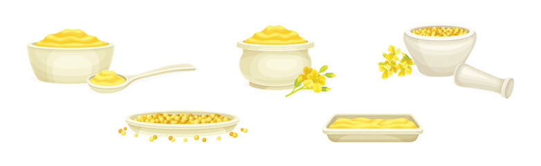 Mustard Yellow Spice and Condiment Vector Set
