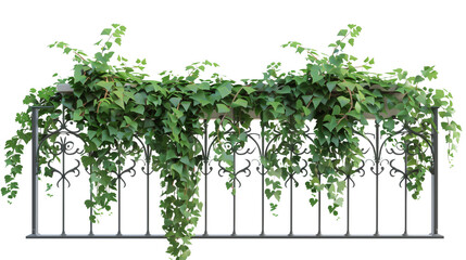 Creeper plants draping over a balcony railing, isolated on transparent background