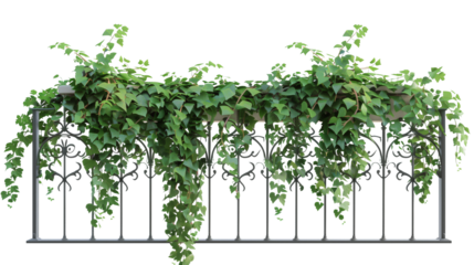 Creeper plants draping over a balcony railing, isolated on transparent background