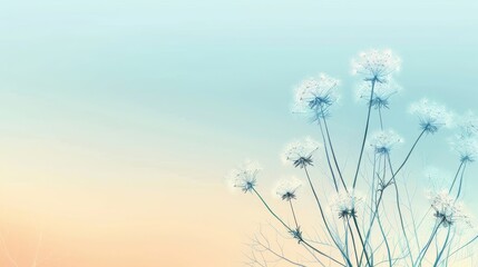   A tight shot of a cluster of dandelions against a backdrop of blue and pink, featuring a sky in the distance