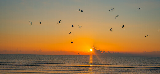 Sunset on the Mediterranean Sea with flying birds